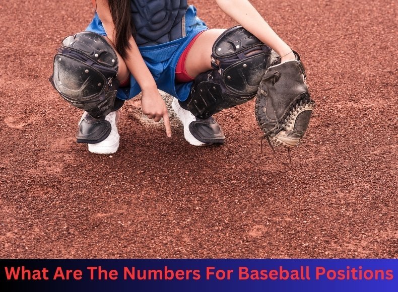 What Are The Numbers For Baseball Positions