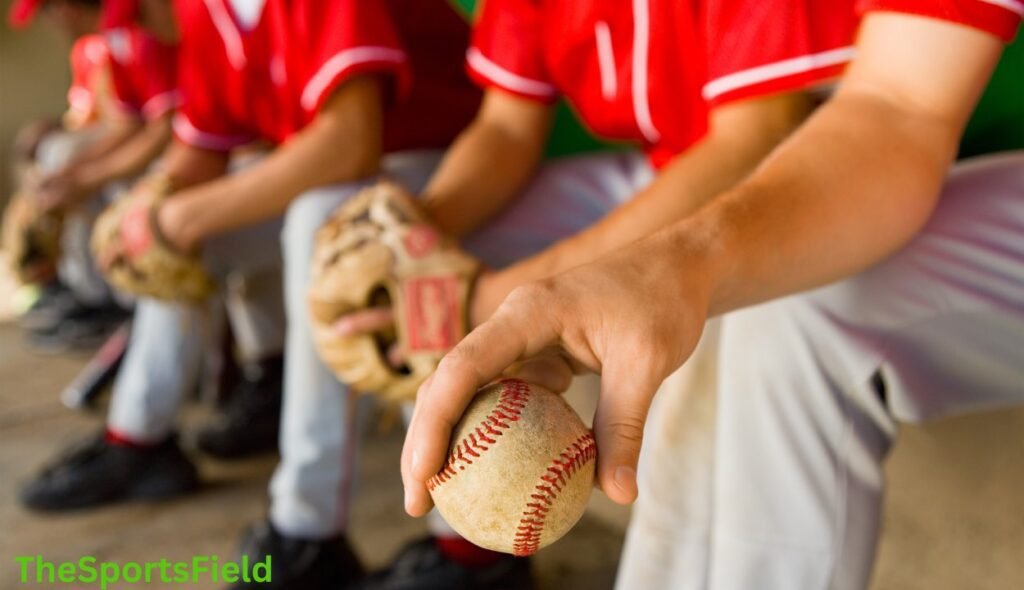 What Baseballs Do High Schools Use